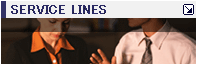 SERVICE LINES